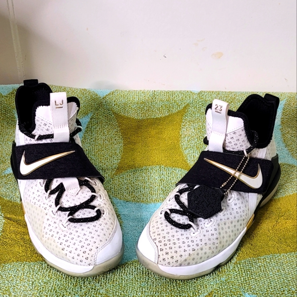 Nike Labron James XIV